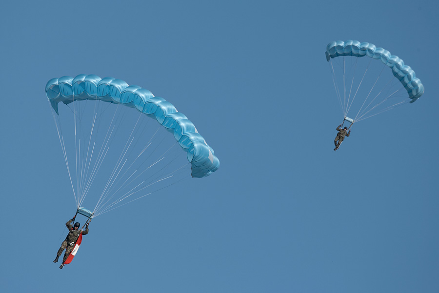 Other%20%28flying%29