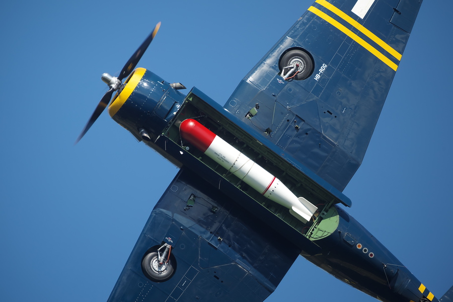 Dittinger%20Flugtage%202015