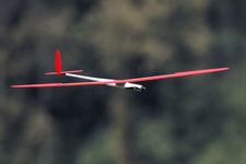 F4C%20WC%20Meiringen%202018