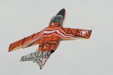 Tiger%20Air%20Show%20Cambrai-Niergnies%202011